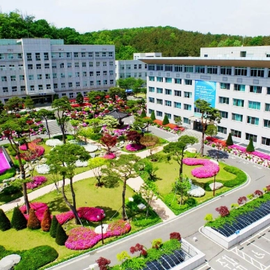 dai-hoc-seojeong
