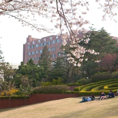 dai-hoc-catholic-han-quoc-the-catholic-university-of-korea