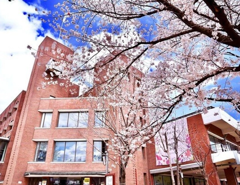 blog