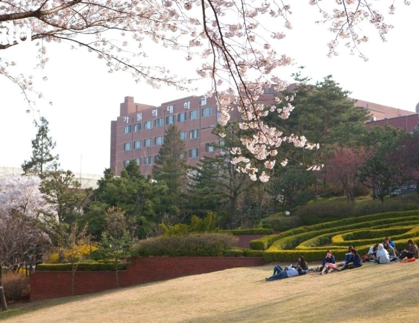 blog